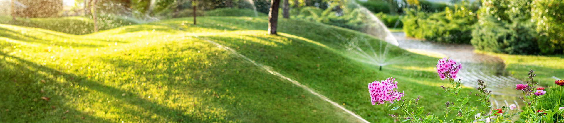 Sprinklers Irrigate Landscaping in a Park