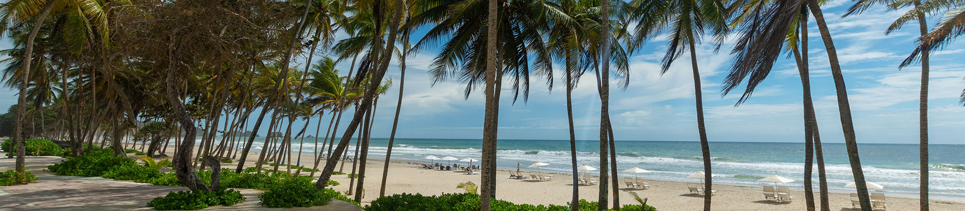 Playa tropical con palmeras, arena blanca y agua azul