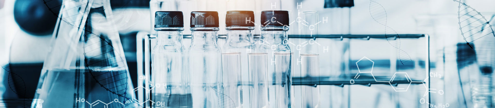 Women in STEM and Water Sciences