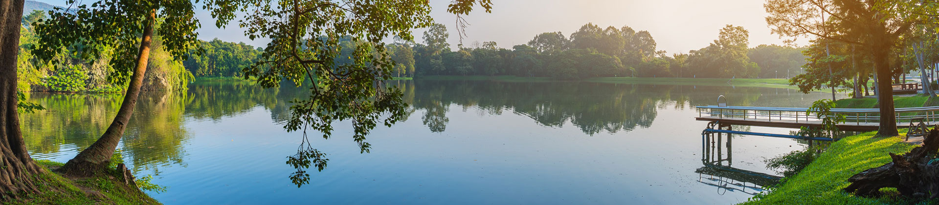 Día Mundial del Agua 2024 Panorama de un lago rodeado por árboles