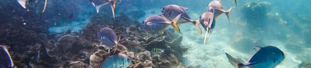 Eliminación de fósforo de las aguas residuales