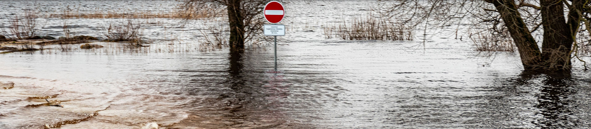 Winter Landscape with Flooded Lake