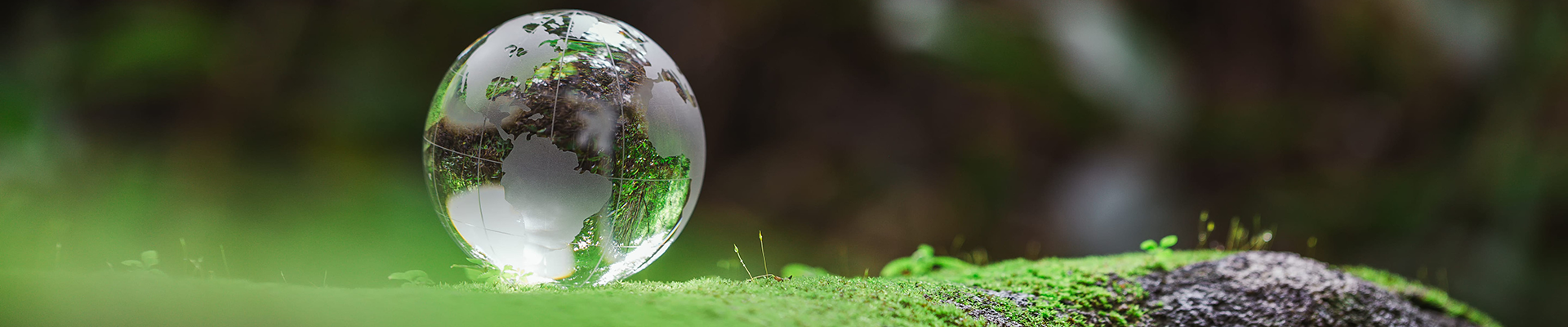 Día de la Tierra 2026: Por qué es importante una infraestructura de agua confiable